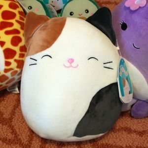 Squishmallow cam the cat 8 In